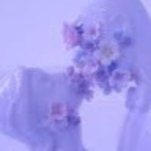 Meet your Posher, Sofia